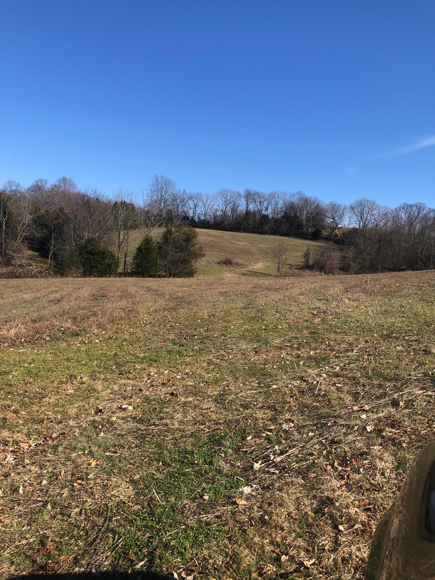 0 Cy Thomas Road Shelbyville, TN 37160 - Photo 1 of 3 Gallery Image 1