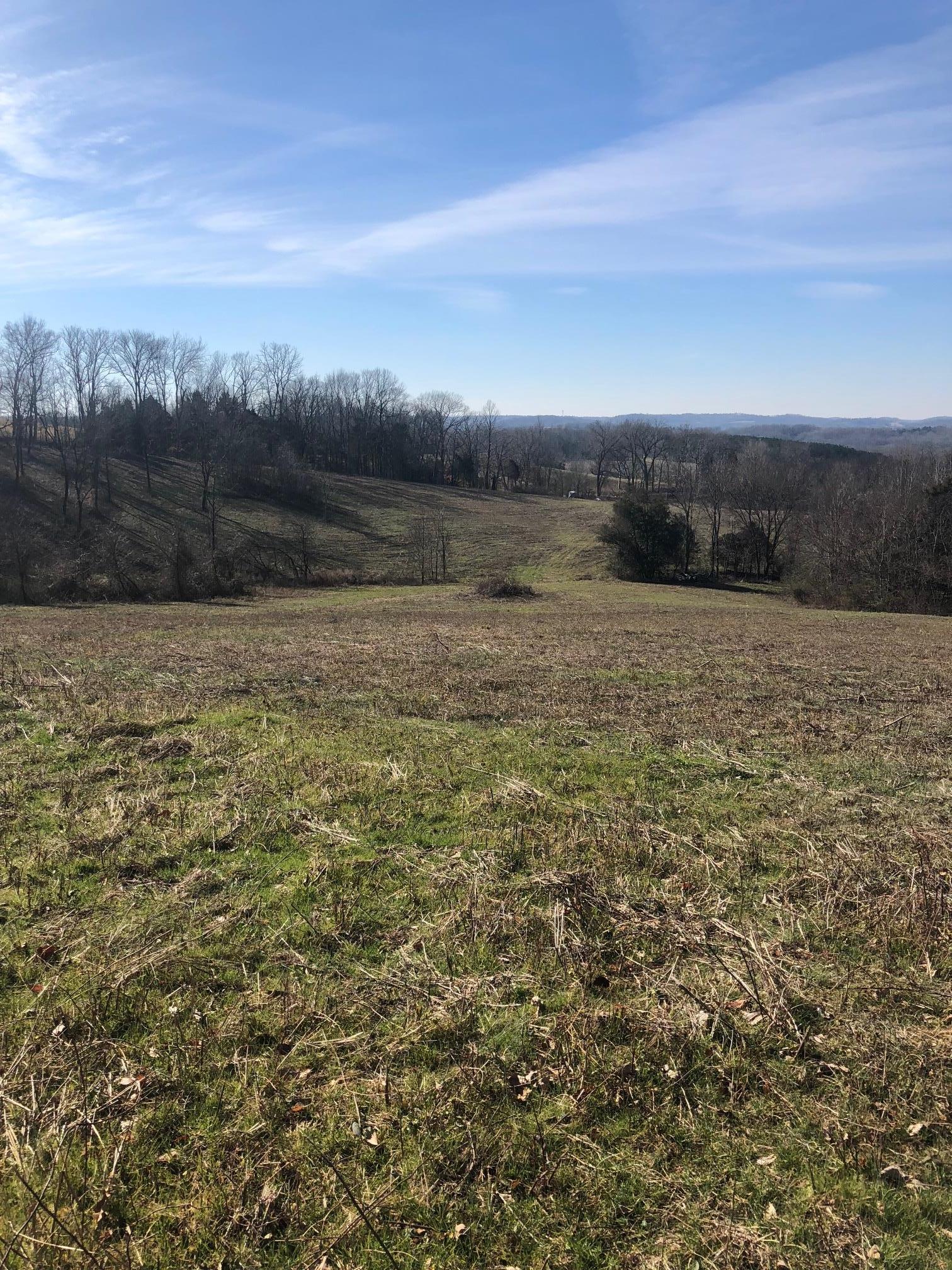 0 Cy Thomas Road Shelbyville, TN 37160 - Photo 2 of 3 Gallery Image 2