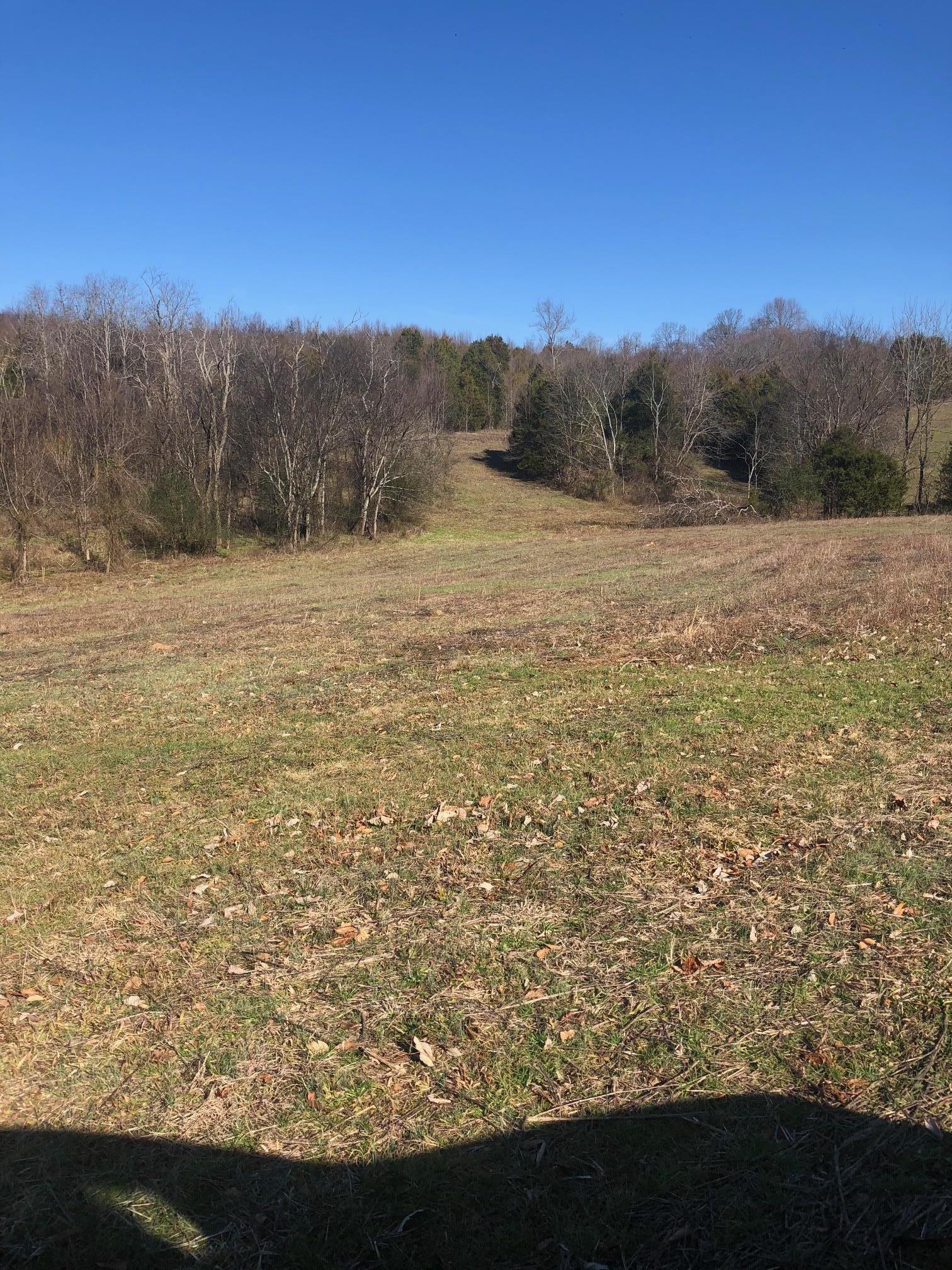 0 Cy Thomas Road Shelbyville, TN 37160 - Photo 3 of 3 Gallery Image 3