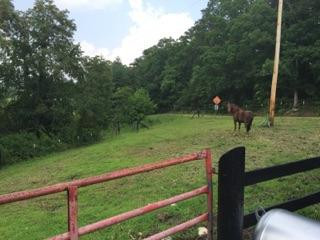 2170 Knob Lick Road Irvine, KY 40336 - Photo 24 of 25 Photo 24