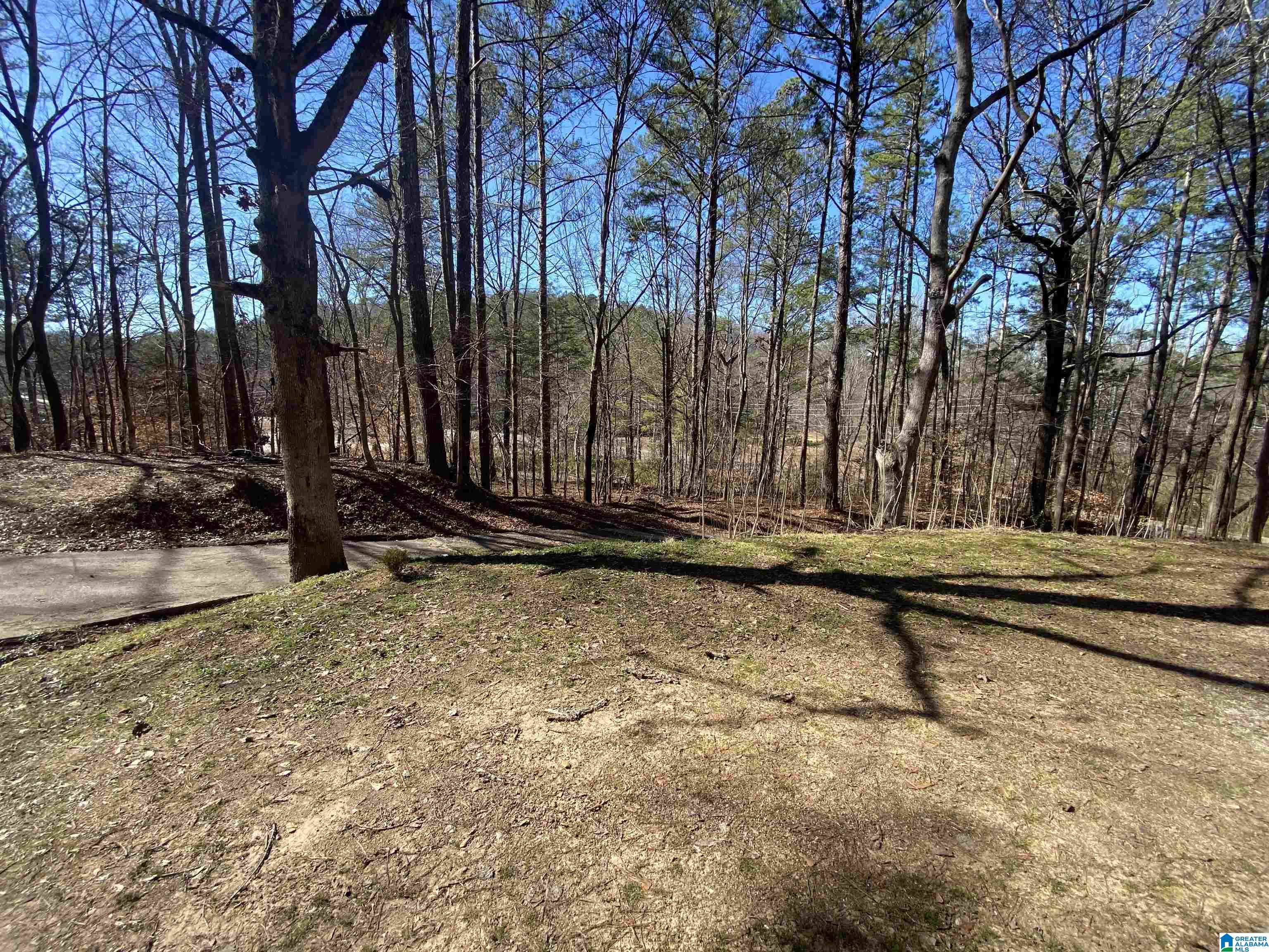 524 Highway 204 Ohatchee, AL 36271 - Photo 9 of 42