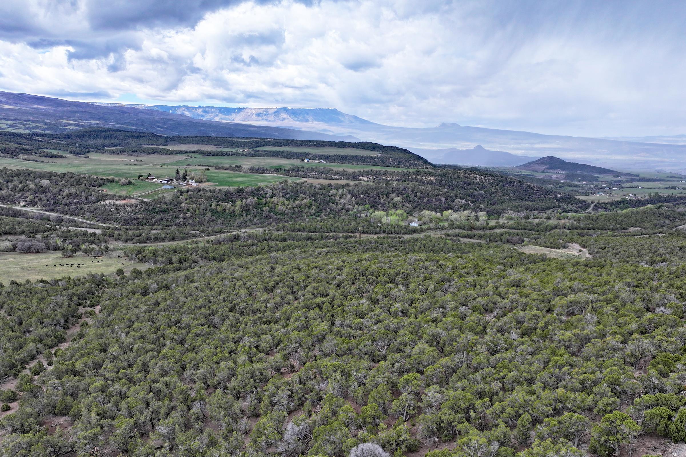 12705 55 Road Collbran, CO 81624 - Photo 22 of 31 a view of a yard with an outdoor space