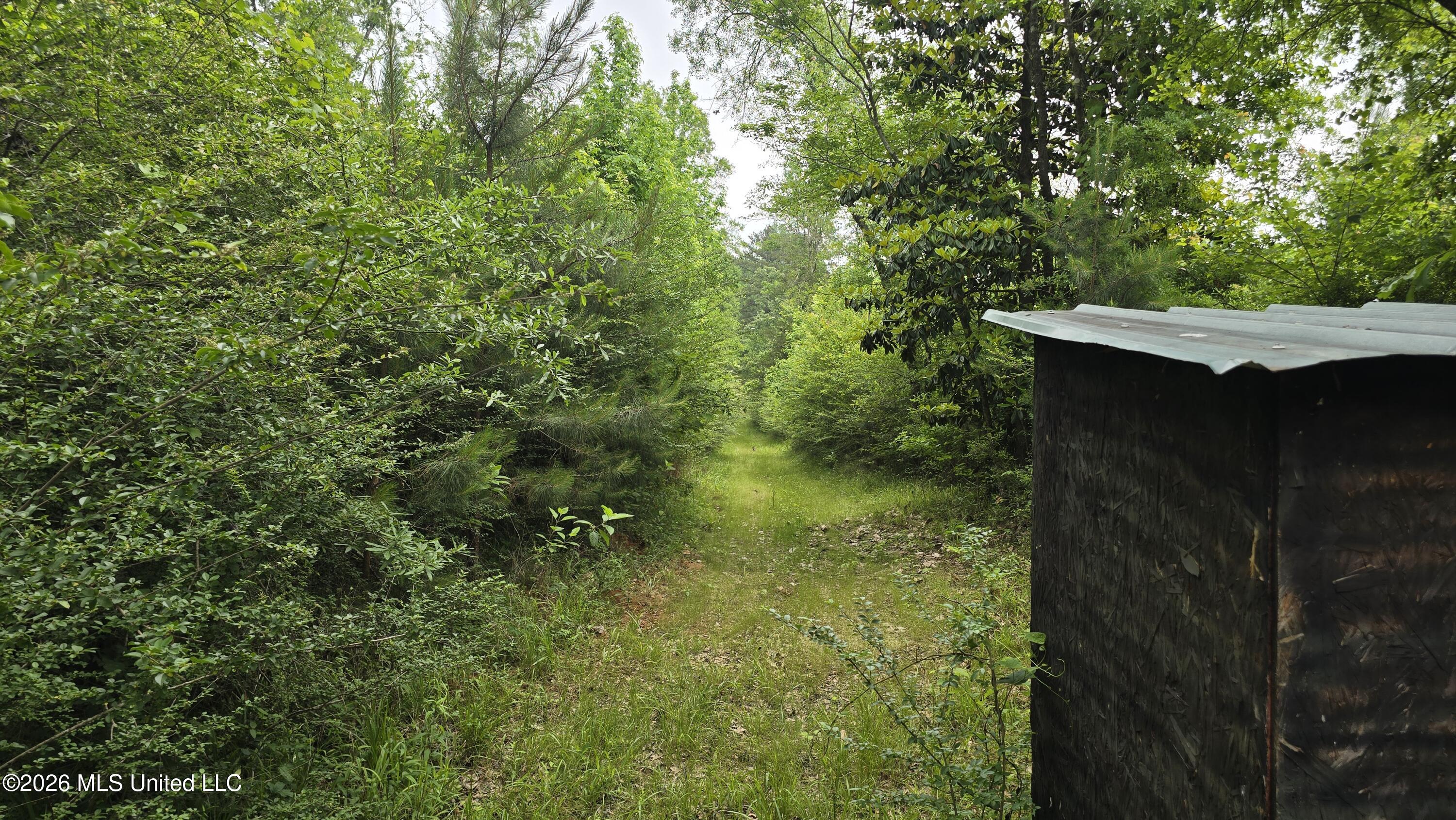 189 Co Road Bay Springs, MS 39422 - Photo 13 of 61 20260513_104004