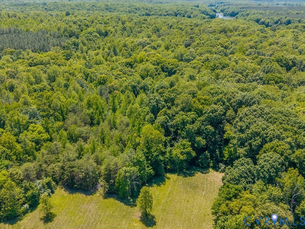 0 Bell Road Powhatan, VA 23139 - Photo 2 of 21