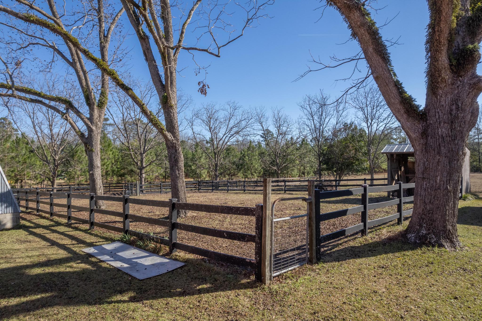 2245 Tee Vee Road Elloree, SC 29047 - Photo 49 of 56 2245 Teevee Rd-58