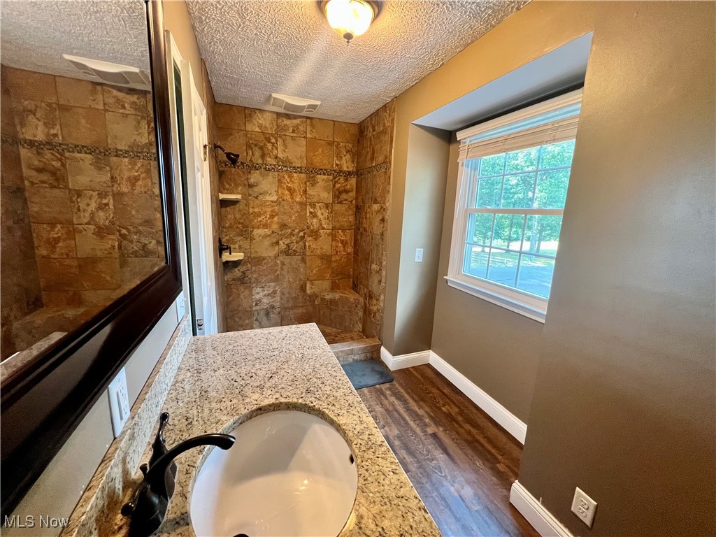 3840 Tabor Ridge Road Northeast Mineral City, OH 44656 - Photo 23 of 40 Bathroom featuring vanity, a textured ceiling, wood-type flooring, and tiled shower
