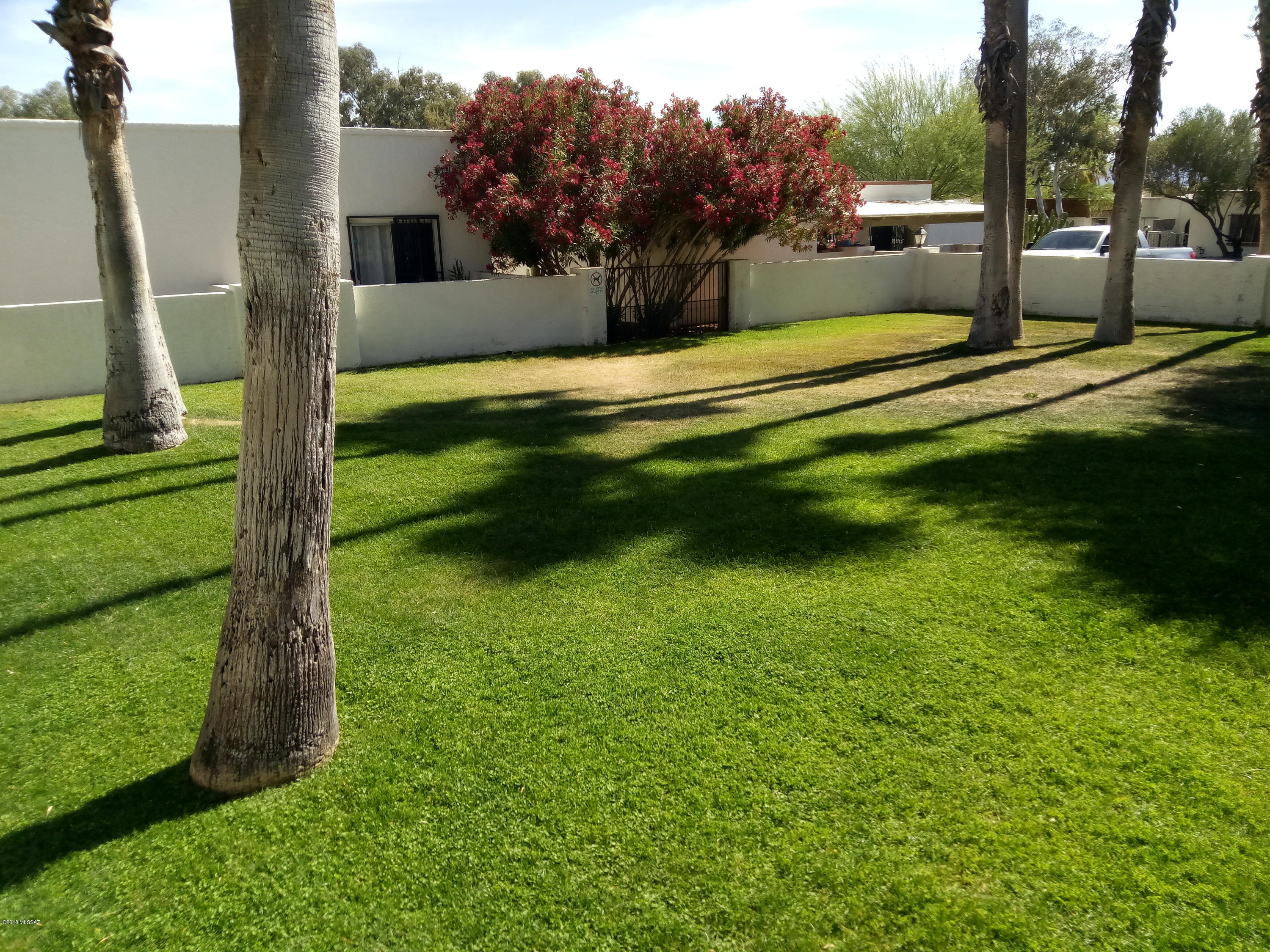 600 East River Road, Unit 1 Tucson, AZ 85704 - Photo 20 of 21 a view of a golf course