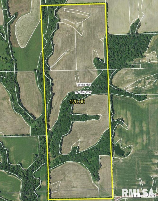 2300 North N Roodhouse, IL 62082 - Photo 1 of 11