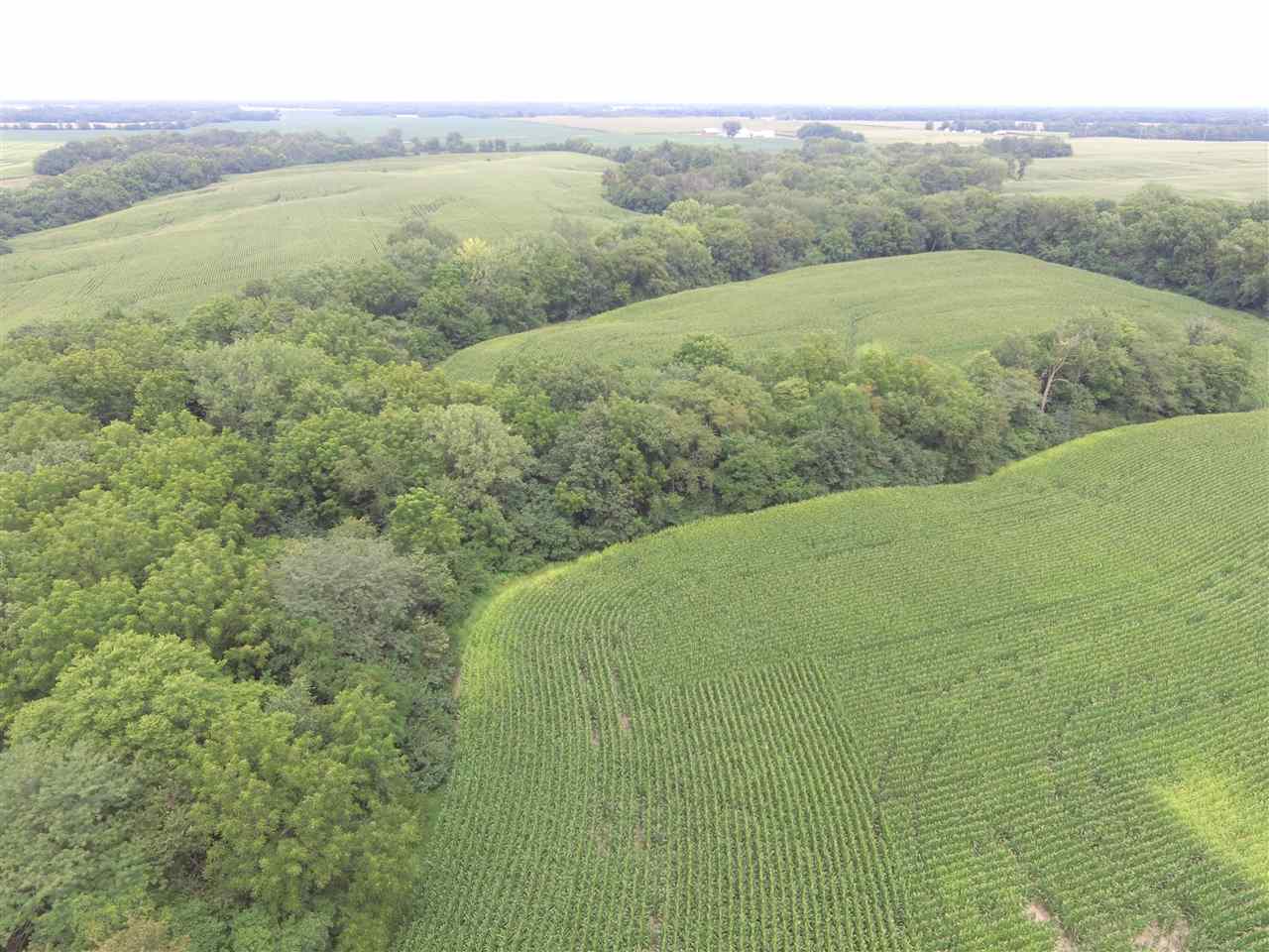 2300 North N Roodhouse, IL 62082 - Photo 3 of 11