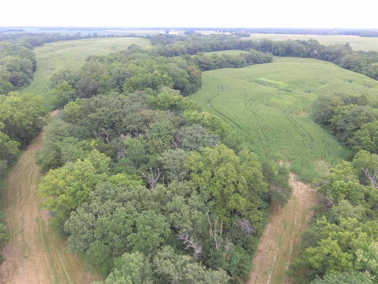 2300 North N Roodhouse, IL 62082 - Photo 4 of 11