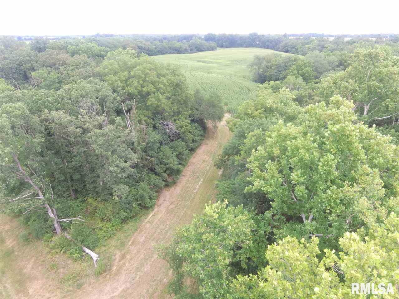 2300 North N Roodhouse, IL 62082 - Photo 5 of 11