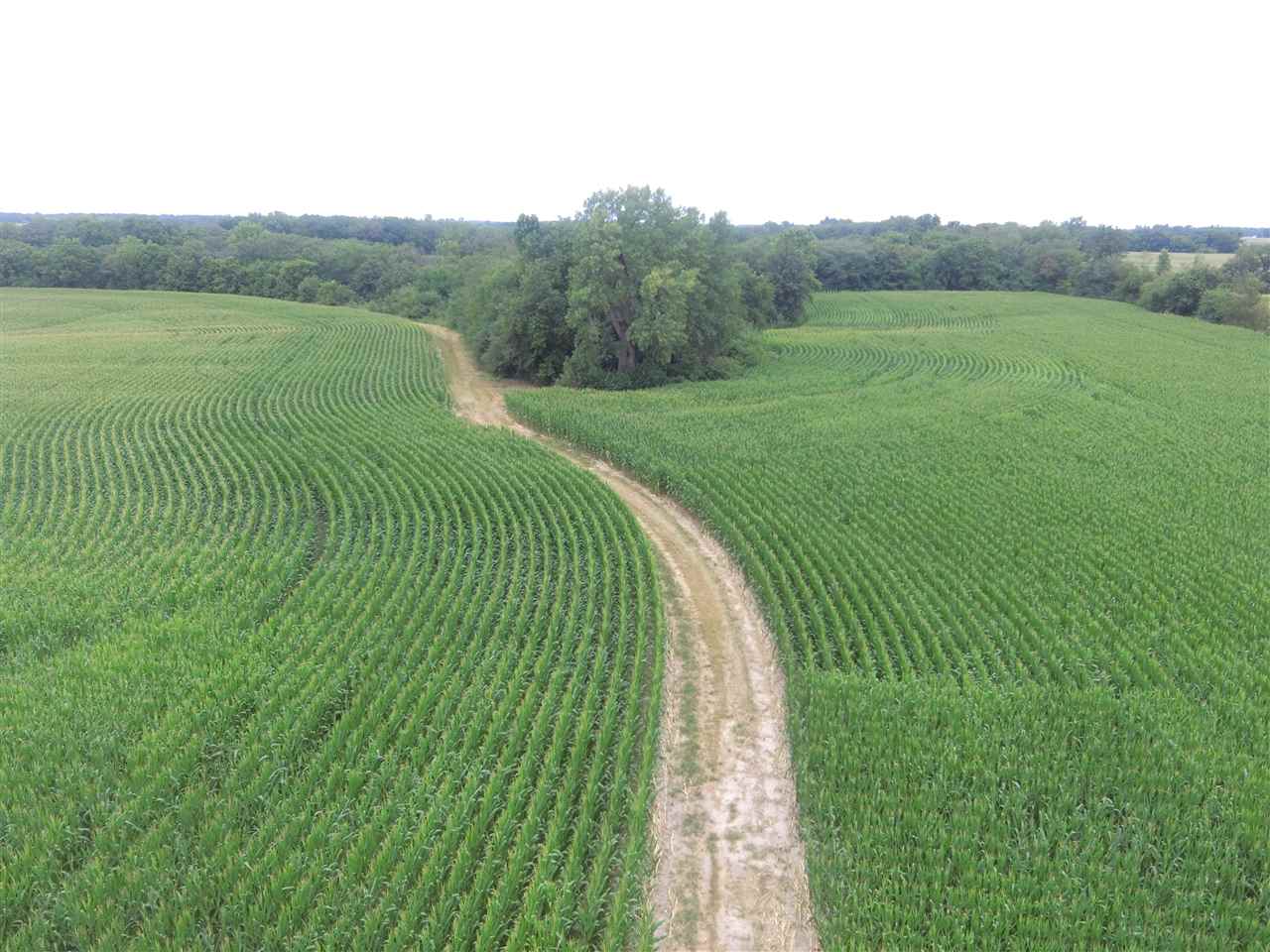 2300 North N Roodhouse, IL 62082 - Photo 8 of 11