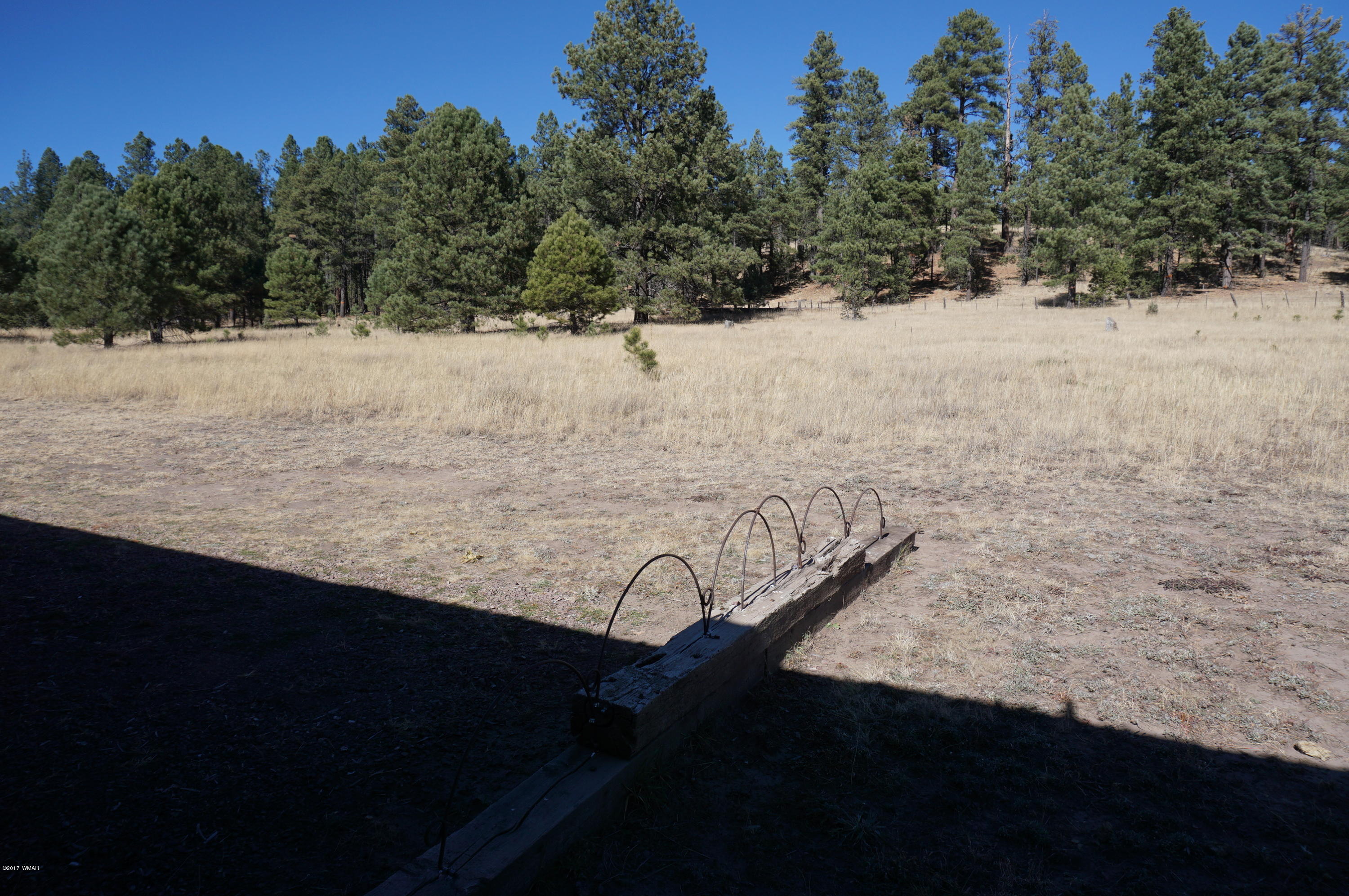 7 County Road Blue, AZ 85922 - Photo 54 of 140 Gallery Image 54