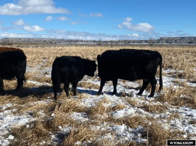 $117,000 | Bluemel Sub Bluemel Sub, Lyman, WY 82937