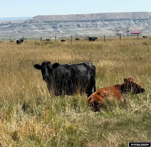 $117,000 | Bluemel Sub Bluemel Sub, Lyman, WY 82937