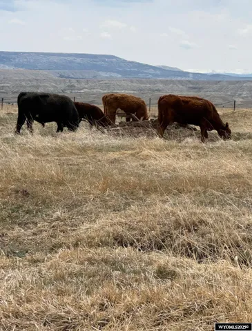 $117,000 | Bluemel Sub Bluemel Sub, Lyman, WY 82937