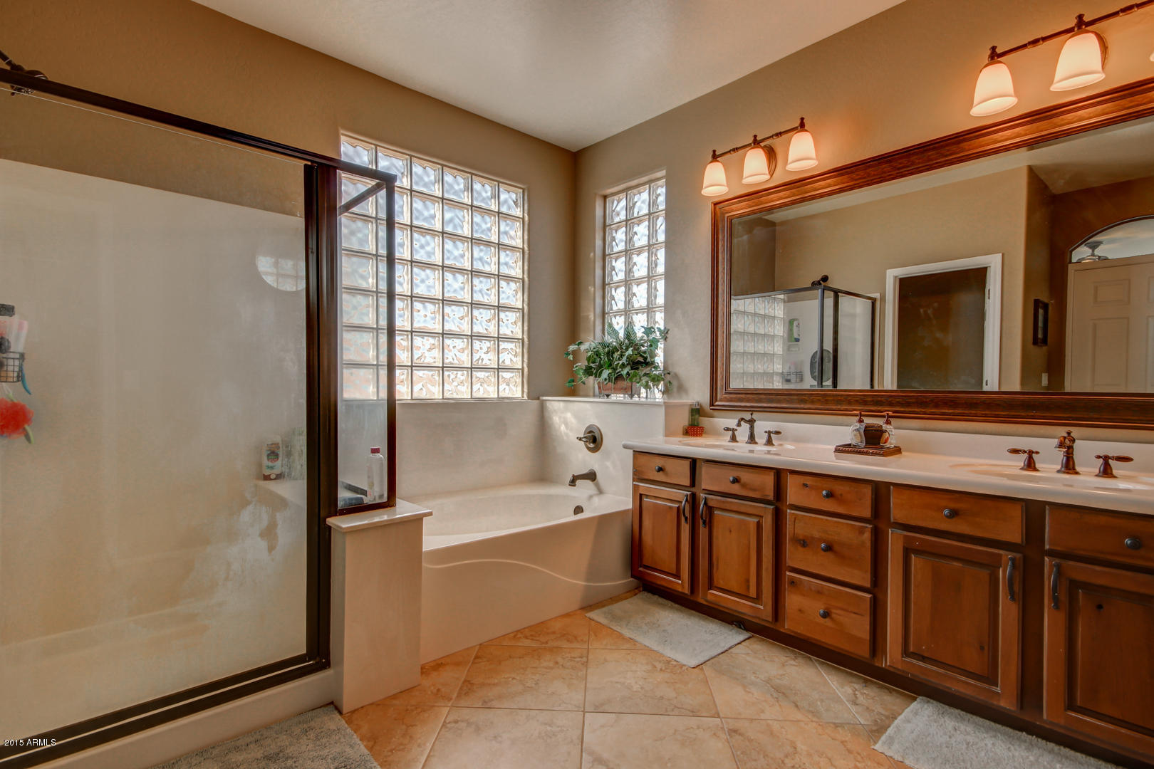 18411 Verdin Road Goodyear, AZ 85338 - Photo 33 of 38 Verdin (34)