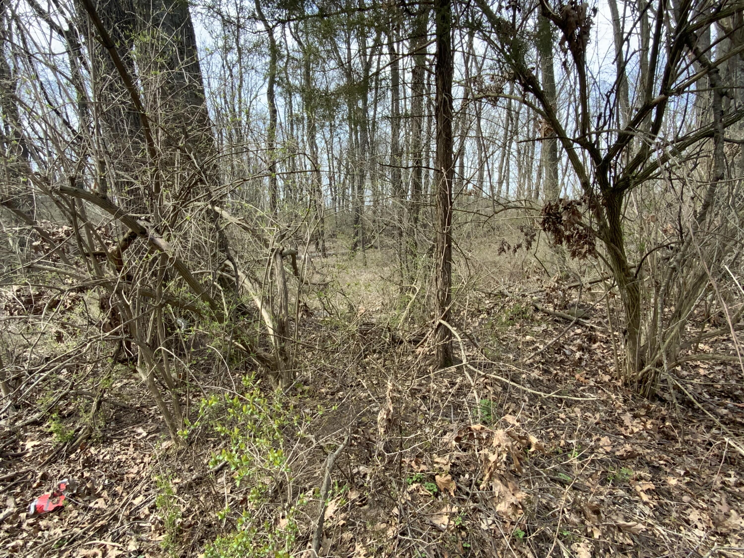 0 Mathews Road Spring Arbor, MI 49283 - Photo 2 of 6 IMG_0959