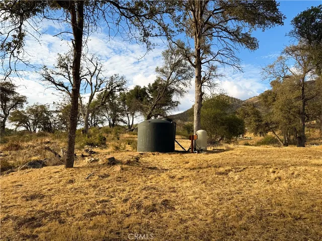 a view of yard with trees