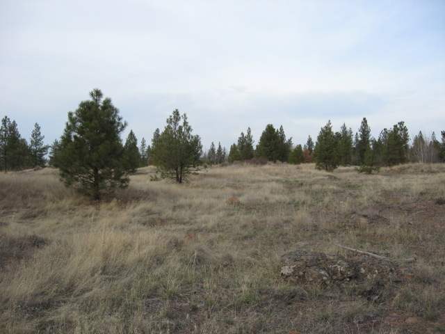205 South Harrison Road Edwall, WA 99008 - Photo 1 of 9