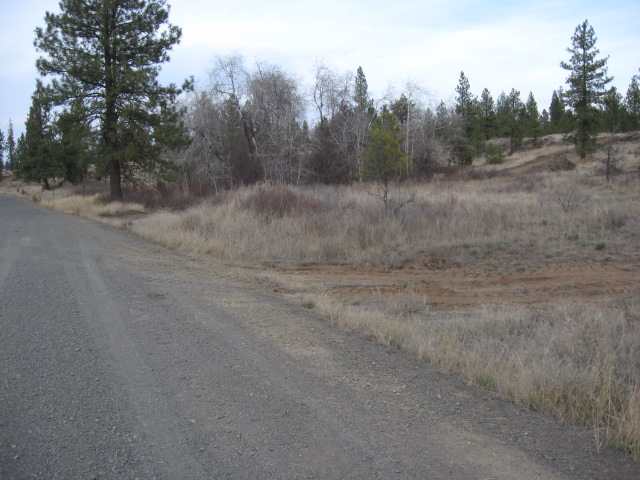 205 South Harrison Road Edwall, WA 99008 - Photo 3 of 9