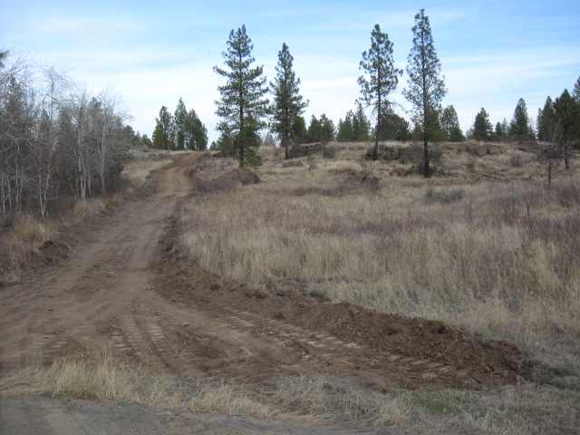 205 South Harrison Road Edwall, WA 99008 - Photo 4 of 9