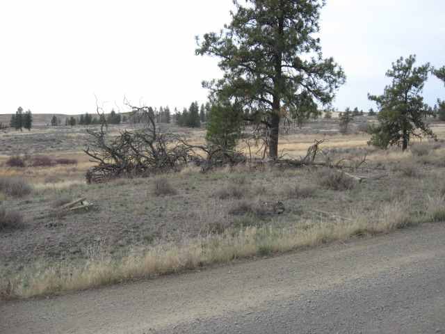 205 South Harrison Road Edwall, WA 99008 - Photo 6 of 9