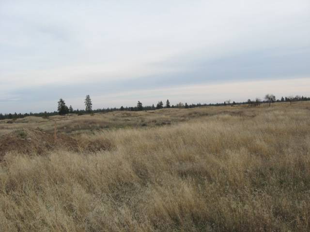 205 South Harrison Road Edwall, WA 99008 - Photo 7 of 9