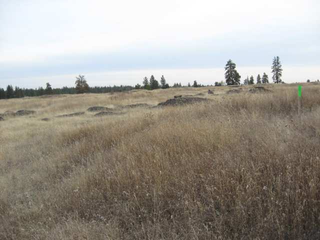 205 South Harrison Road Edwall, WA 99008 - Photo 8 of 9