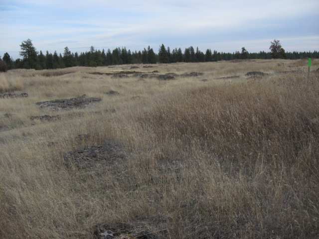 205 South Harrison Road Edwall, WA 99008 - Photo 9 of 9
