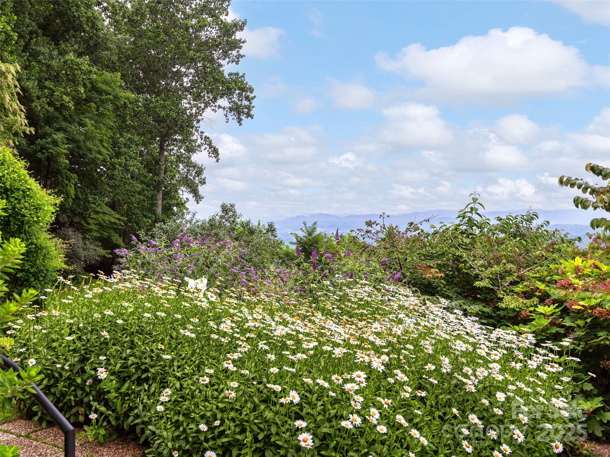 1300 Randy Drive Hendersonville, NC 28791 - Photo 30 of 48 view of a bunch of trees