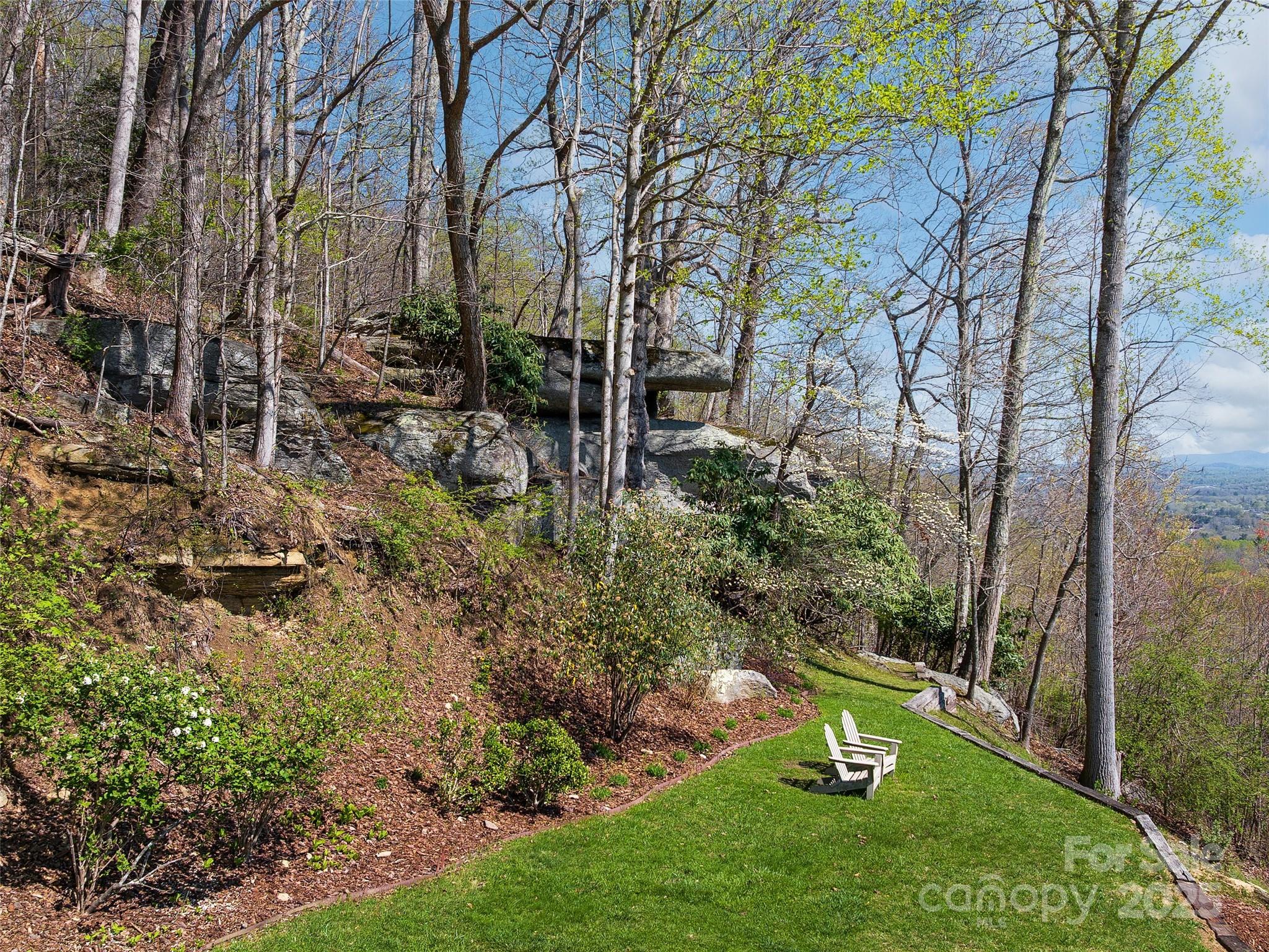 1300 Randy Drive Hendersonville, NC 28791 - Photo 33 of 48 a green field with lots of trees