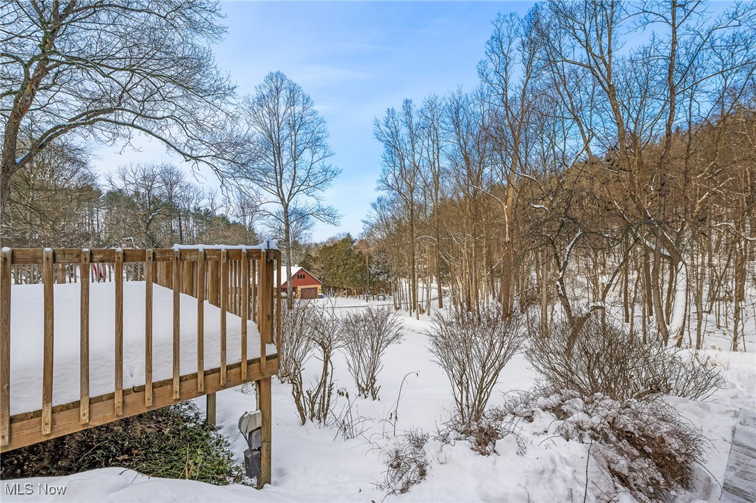 86523 North Bay Road Scio, OH 43988 - Photo 22 of 25 View of snowy yard