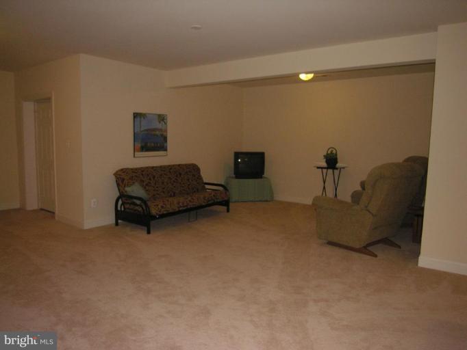6406 Gayfields Road Alexandria, VA 22315 - Photo 22 of 30 Recreation Room #3
