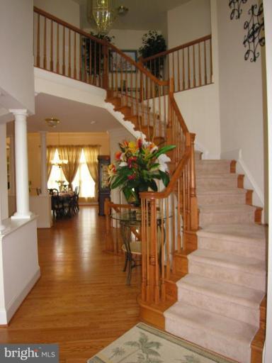 6406 Gayfields Road Alexandria, VA 22315 - Photo 6 of 30 Entrance / Foyer