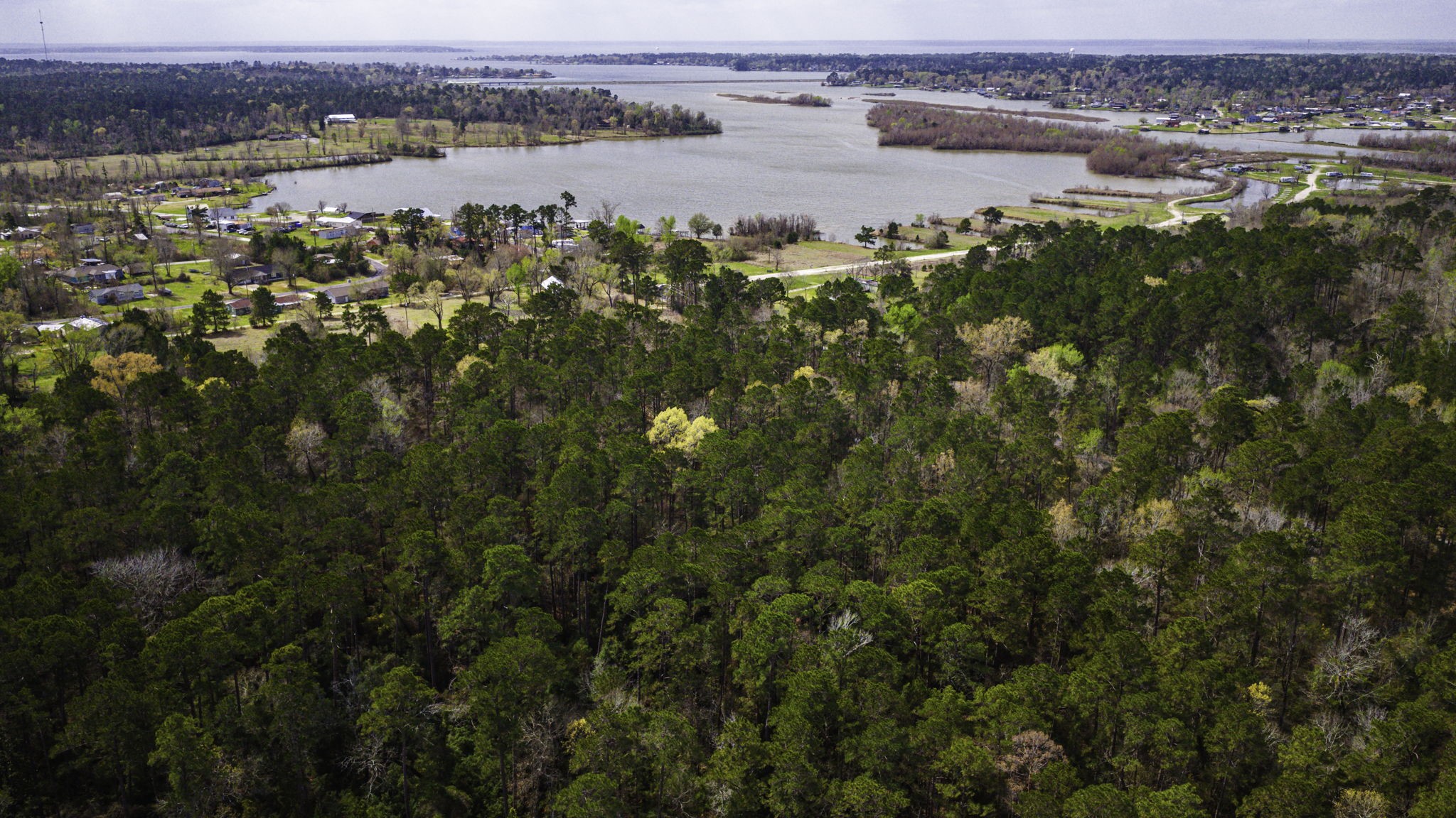 2 Triple Creek Loop Livingston, TX 77351 - Photo 28 of 49 a view of a lake with a city