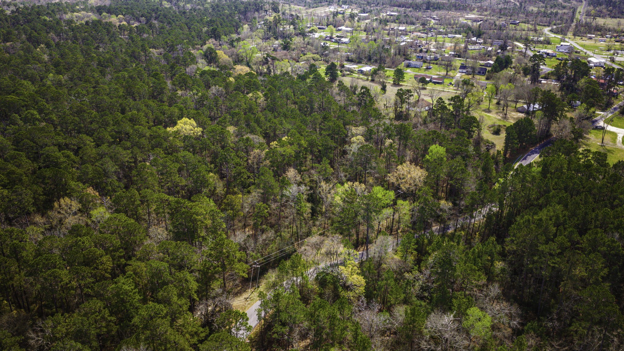 2 Triple Creek Loop Livingston, TX 77351 - Photo 32 of 49 a view of city and green space