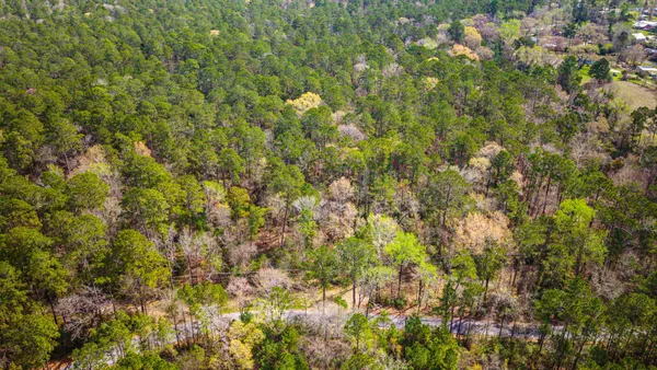 $310,000 | 2 Triple Creek Loop, Livingston, TX 77351