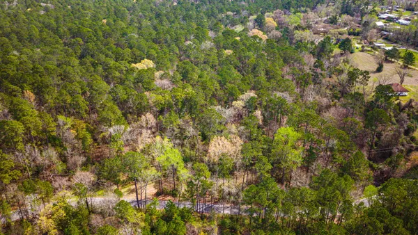 $310,000 | 2 Triple Creek Loop, Livingston, TX 77351
