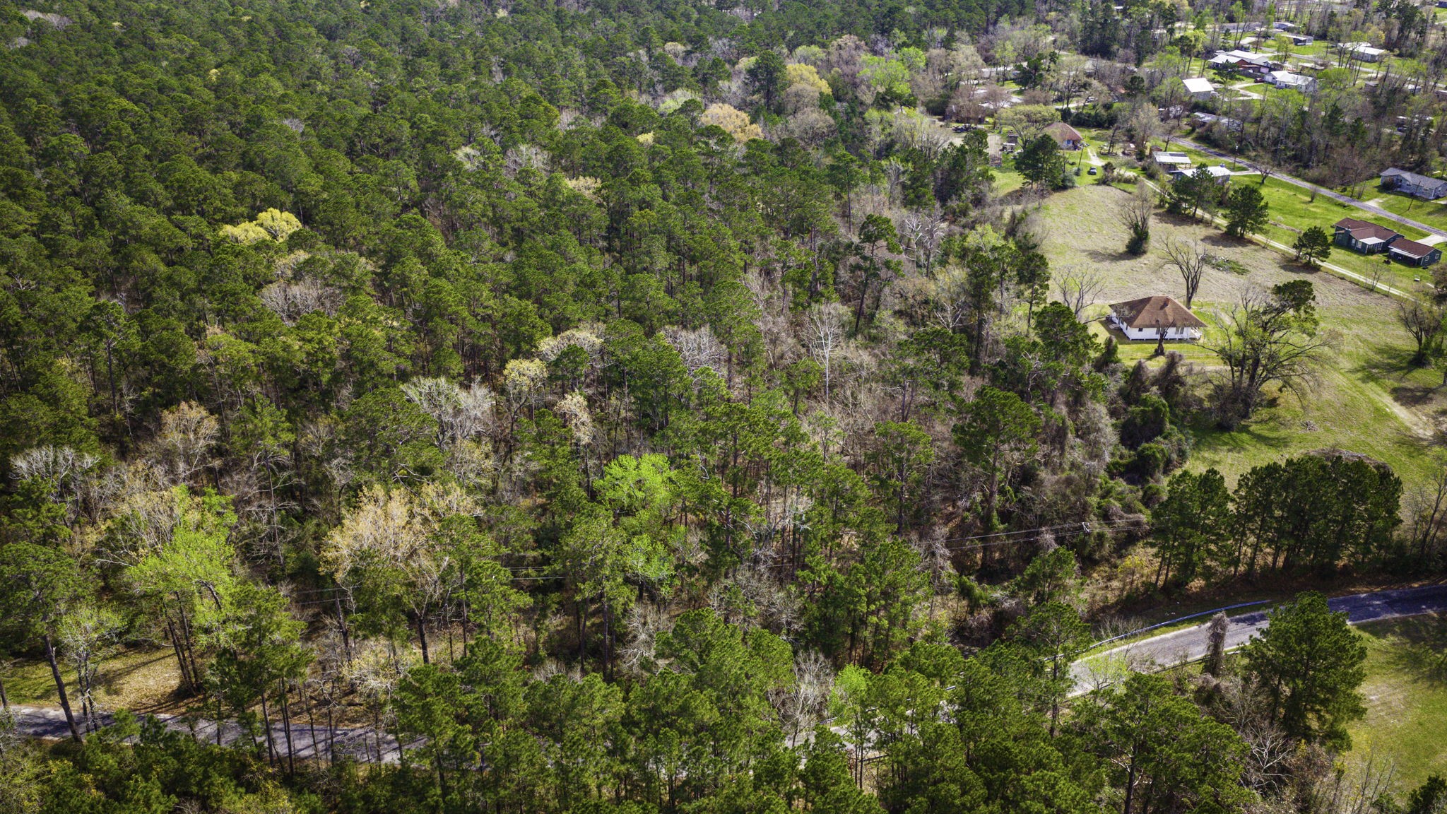 2 Triple Creek Loop Livingston, TX 77351 - Photo 35 of 49 a view of a tree in a garden
