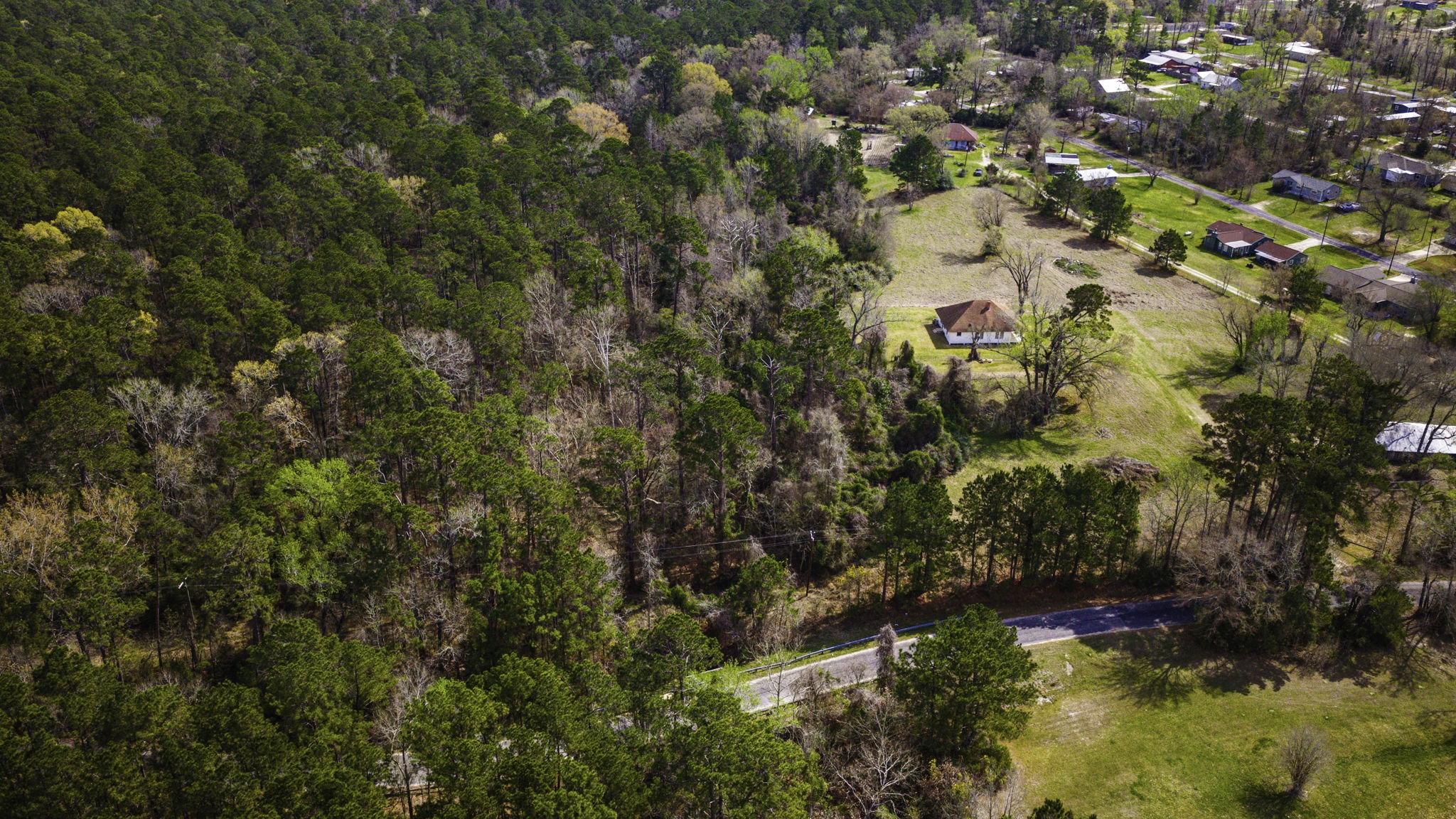 2 Triple Creek Loop Livingston, TX 77351 - Photo 36 of 49 a view of a tree
