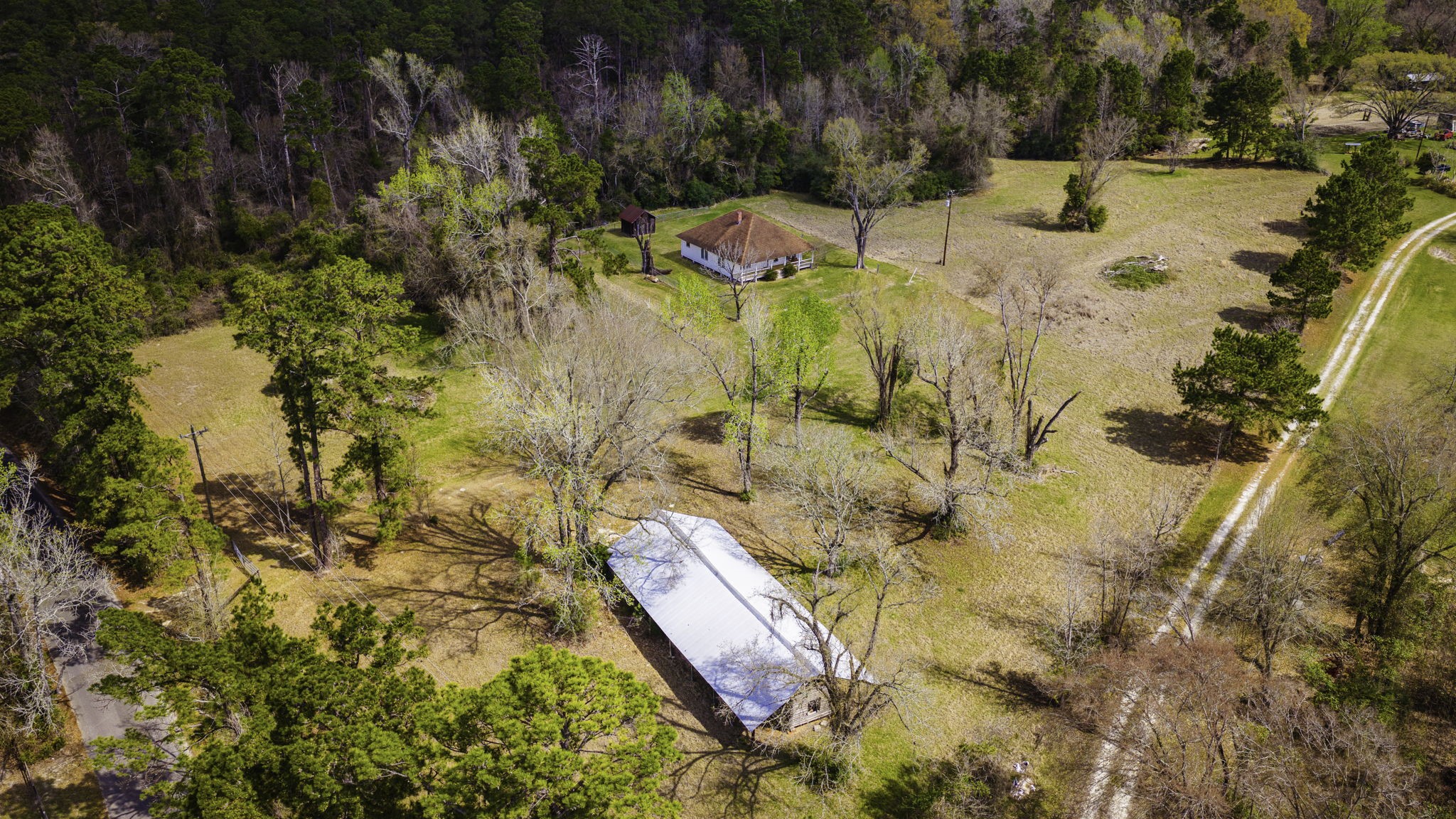 2 Triple Creek Loop Livingston, TX 77351 - Photo 46 of 49 a view of swimming pool with a yard