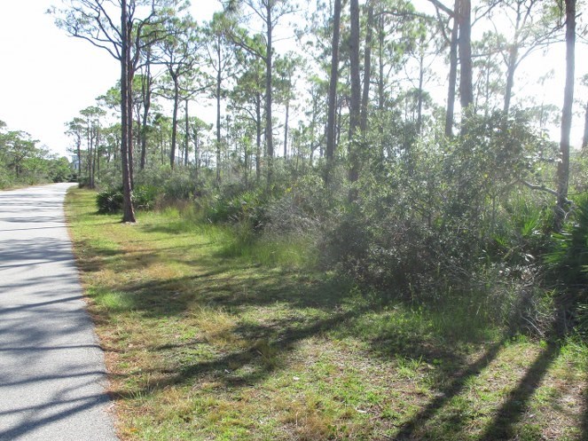 1660 Hawthorne Lane St. George Island, FL 32328 - Photo 2 of 6