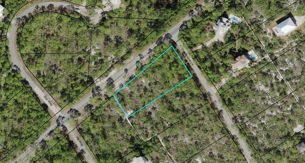 1660 Hawthorne Lane St. George Island, FL 32328 - Photo 4 of 6