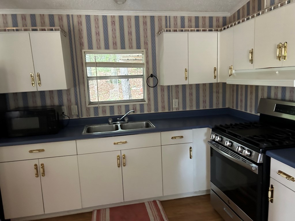 9344 Blue Ridge Highway Blairsville, GA 30512 - Photo 6 of 17