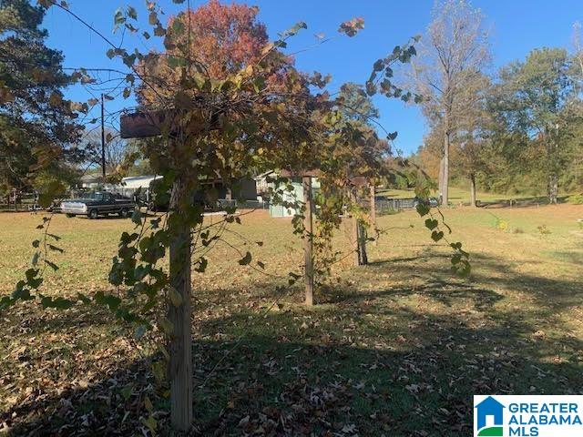 9376 Old Toadvine Road Bessemer, AL 35023 - Photo 36 of 45