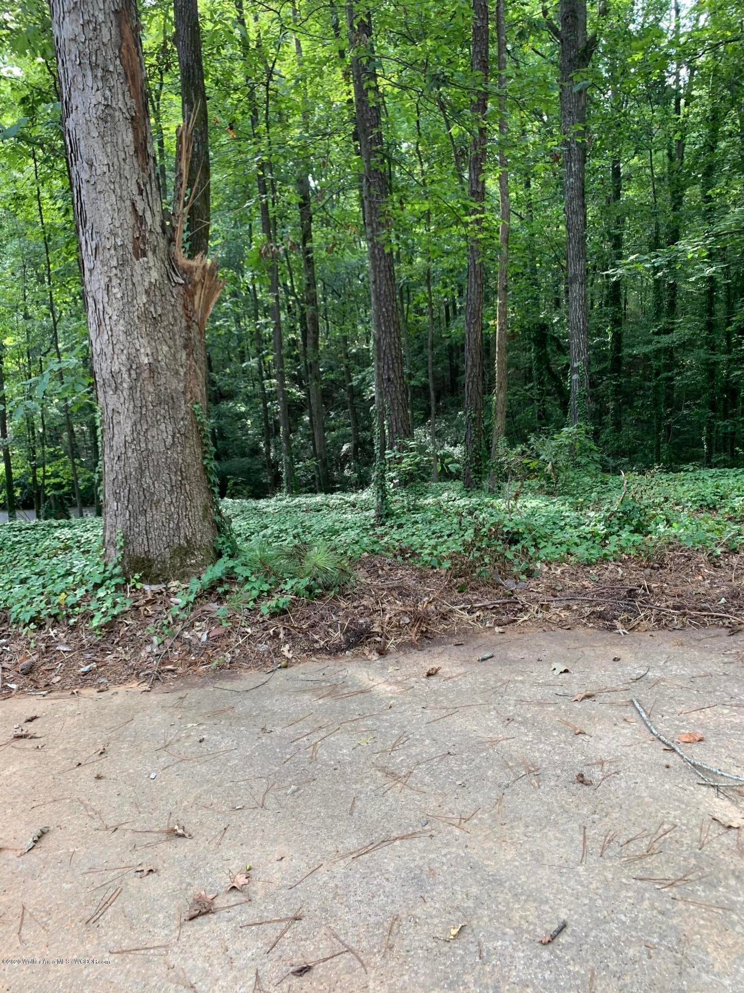 1505 College Hill Road Jasper, AL 35501 - Photo 3 of 4 Gallery Image 3