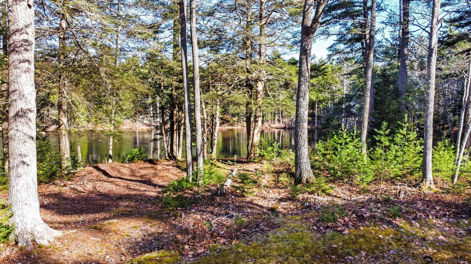 1163 5 Islands Road Georgetown, ME 04548 - Photo 11 of 46 11_DJI_0830_copy_DxO_mls