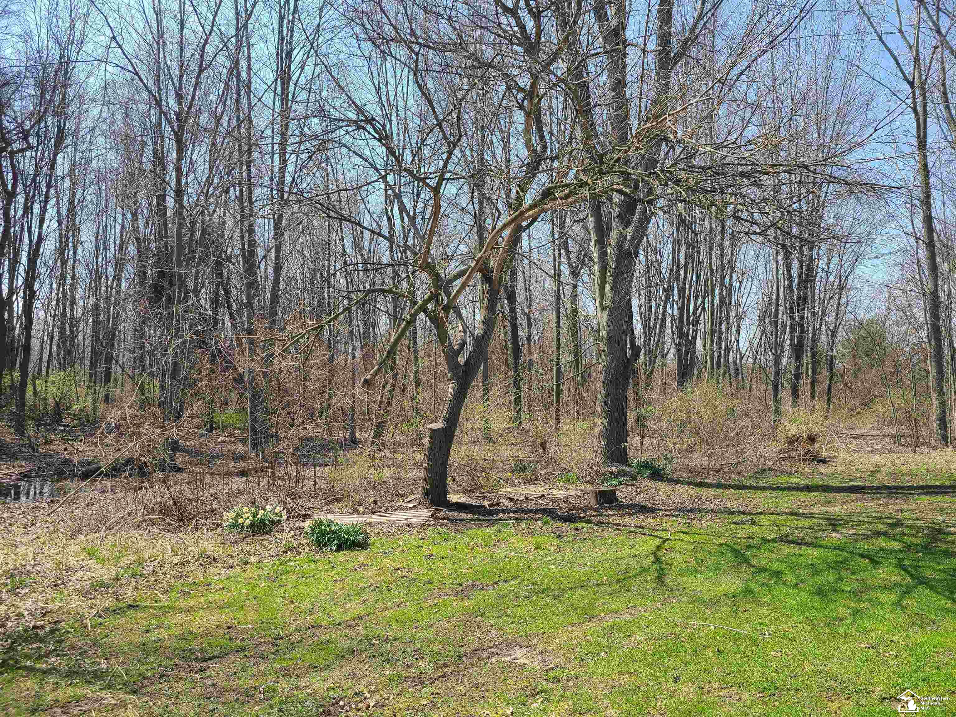 11581 Dixon Road Monroe, MI 48161 - Photo 16 of 41