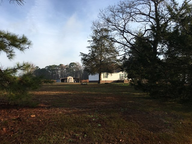 361 Adams Road Seven Springs, NC 28578 - Photo 3 of 6 Gallery Image 3